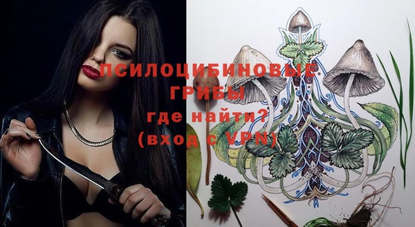 бутират Баксан