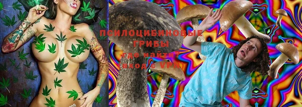 прущая мука Белокуриха