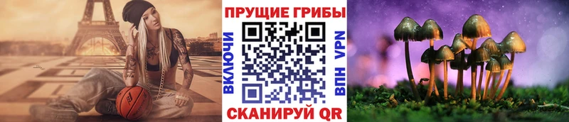 darknet телеграм  мега tor  Псилоцибиновые грибы ЛСД  Куйбышев  что такое  